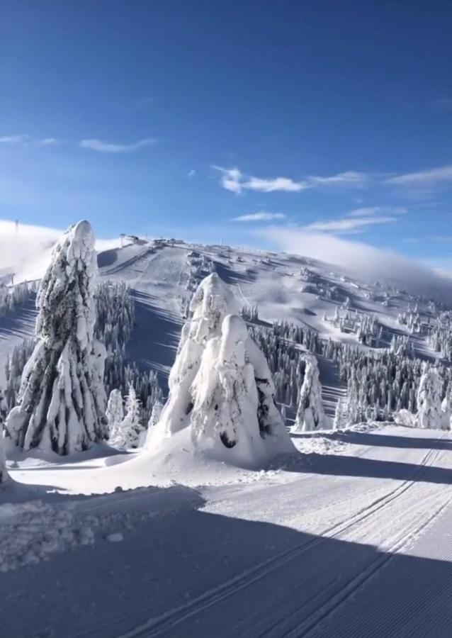 Sunny Kop Čardaci Leilighet Kopaonik Eksteriør bilde